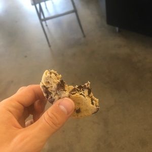 Meet your Posher, Teddy